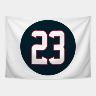 Houston Texans Foster Tapestry