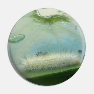 Caterpillar on a Lilypad Pin