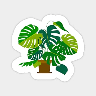 monstera Magnet