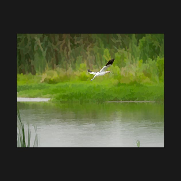 Flight of an American Avocet by Debra Martz