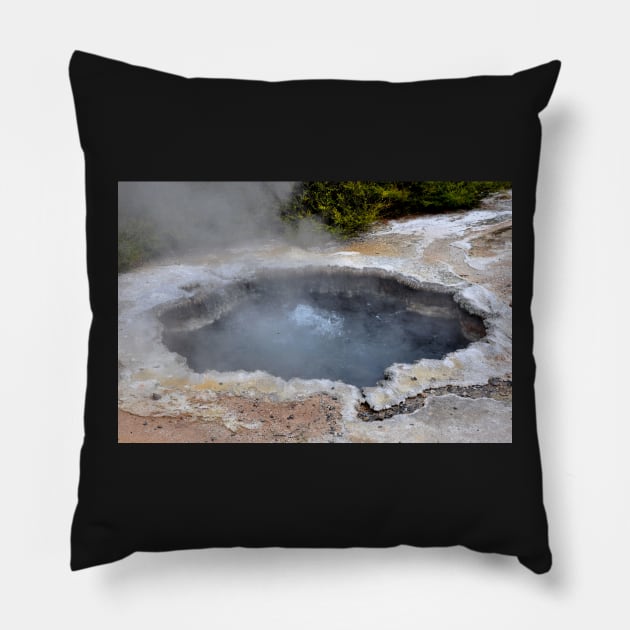 Nouvelle Zélande - Rotorua, Te Puia Pillow by franck380