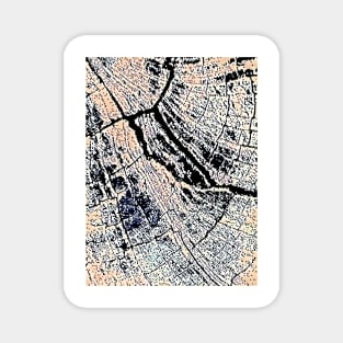 City Map Magnet