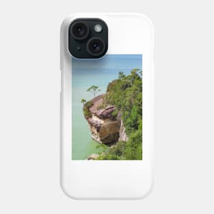 Cliff and trees at ocean shore landscape Phone Case