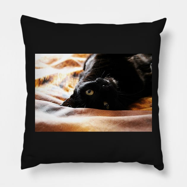 Beautiful Bashful Biddy Pillow by Ladymoose