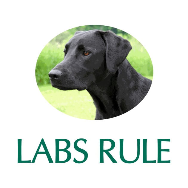 Black Labs Rule by Naves