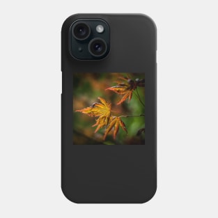 Acer Leaves Phone Case