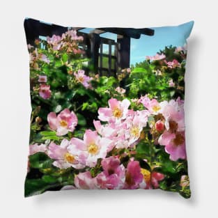 Pink Roses Near Trellis Pillow