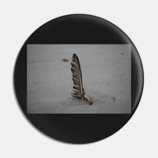 Feather stuck in the sand Pin