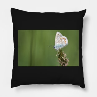 SILVER STUDDED BLUE ~ GRASS FEELING... Pillow