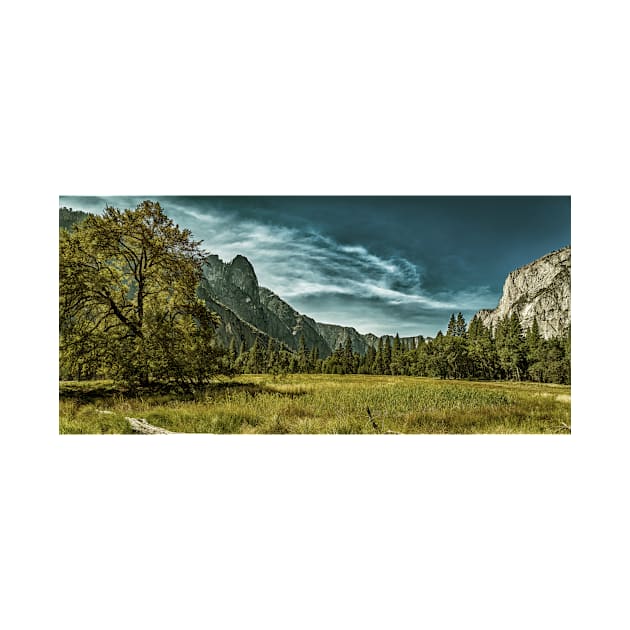 Sentinel Dome from Cooks Meadow by Gestalt Imagery