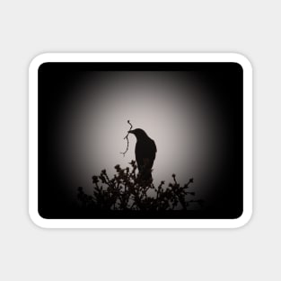 Crow silhouette Magnet