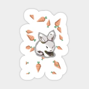 Year of the Rabbit Magnet