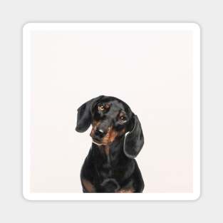 Dachsy the Dachshund Dog Magnet