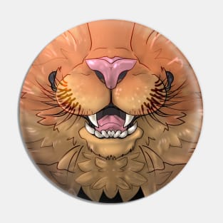 Orange Cat Mask Pin