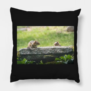 Sunny Weather Day Pillow