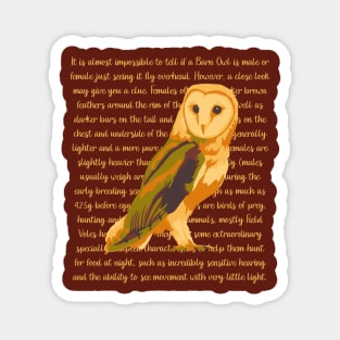 Barn Owl Information Magnet