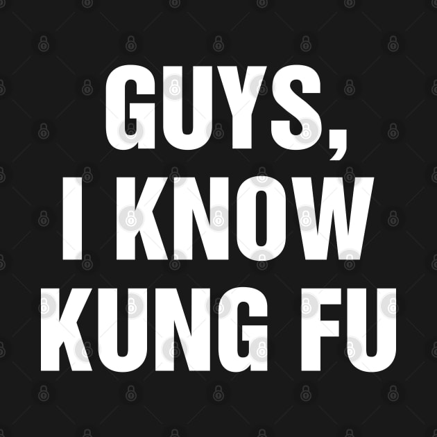 Guys I Know Kung Fu Chuck by rainoree