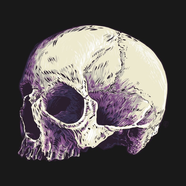 Skull by jafundo