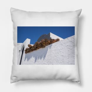 Succulents over the wall. Pillow