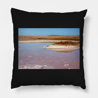 Salt pan. Pillow