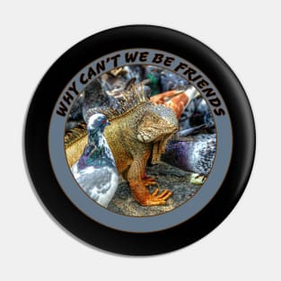 Why can't we be Friends Pin