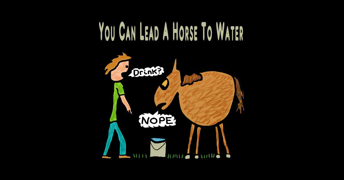 You Can Lead A Horse To Water Horse To Water TShirt TeePublic