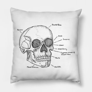 Skull Pillow