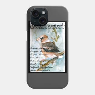 Hawfinch Phone Case