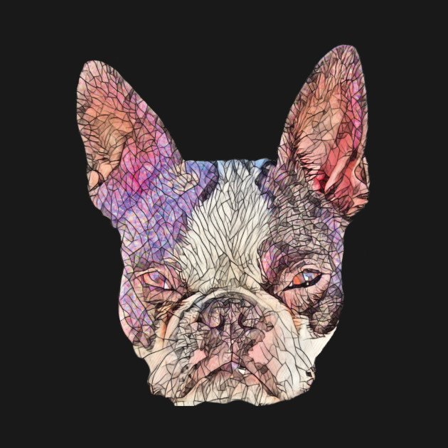 Disover Boston Terrier - Boston Terrier - T-Shirt