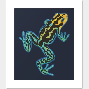 Okopipi Blue Poison Arrow or Dart Frog - Frog Gift Idea - Sticker