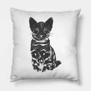 Let's draw a cat. Pillow