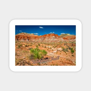 Toadstool Trail at Grand Staircase-Escalante National Monument Magnet