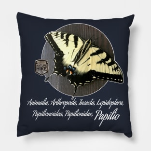 Yellow Swallowtail Taxonomy Pillow