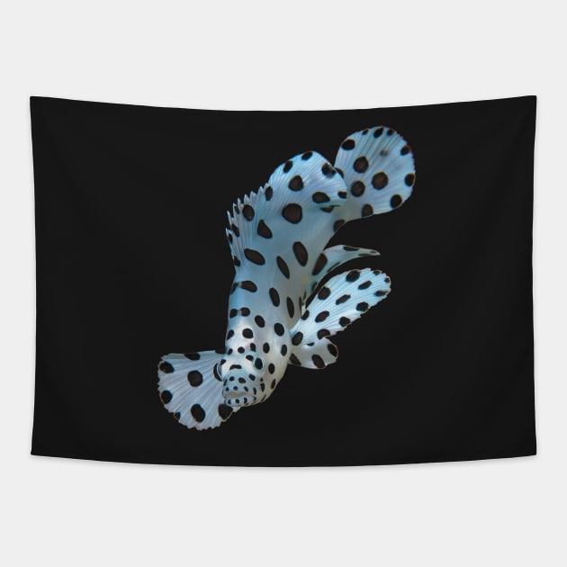 Juvenile Grouper abstract | Underwater Art Floating Fish - variation in black | Tapestry by Ute-Niemann