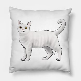 Cat - American Wirehair - White Pillow