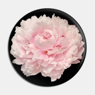 Pale Pink Peony 2 Pin