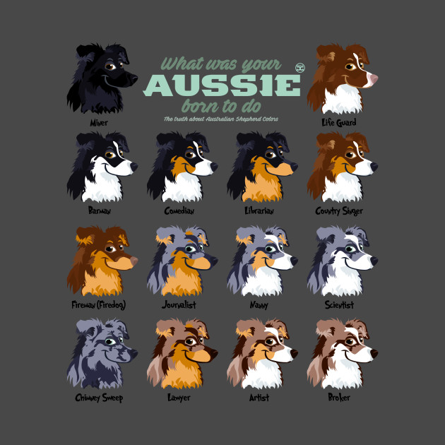 Aussie Colors Aussie TShirt TeePublic