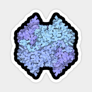 Lactate Dehydrogenase protein structure Magnet