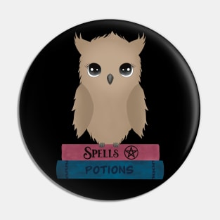 Cute Owl Sitting on Spells and Potions Magic Books Pin