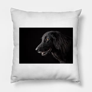 Flat-coated Retriever Pillow