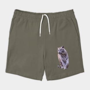Beautiful White Stripe Gold Tiger Shorts