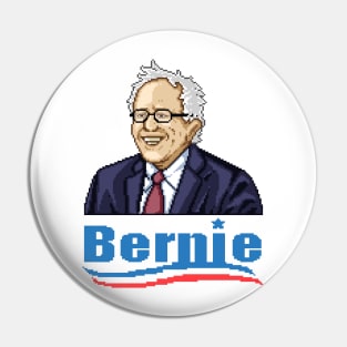 8-Bit Bernie Pin