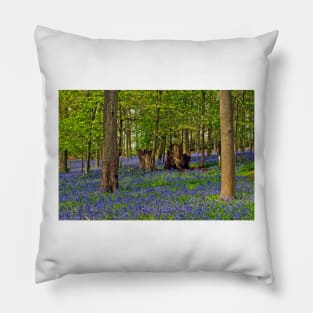 Bluebells Bluebell Woods Greys Court Oxfordshire UK Pillow