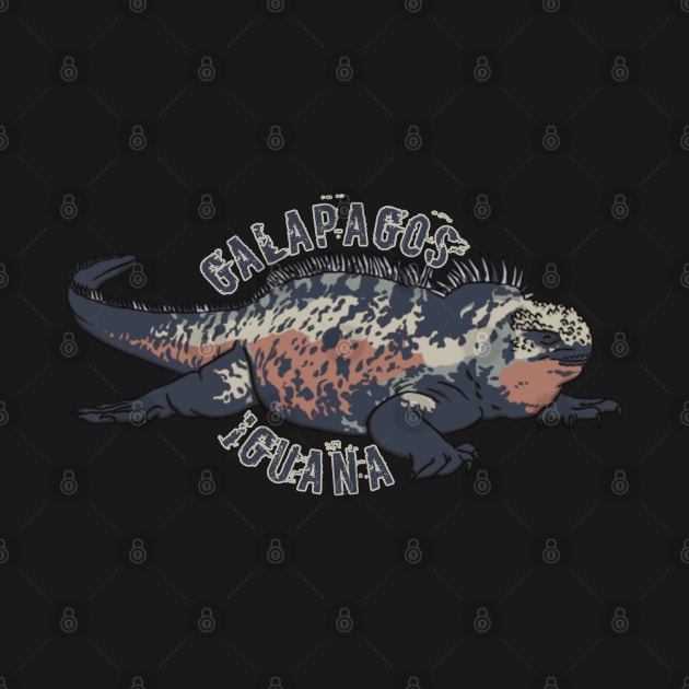 Galapagos iguana by TRACHLUIM