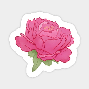 Peony Magnet