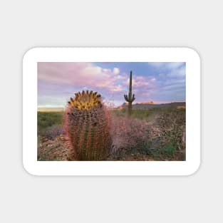 Saguaro And Giant Barrel Cactus With Panther And Safford Peaks In Distance Saguaro National Park Magnet