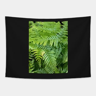 Lush green fern leaves, tropical forest print in vivid colors Tapestry