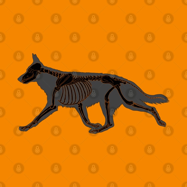 Halloween Design - Dog Skeleton Black & Orange by Earthy Fauna & Flora