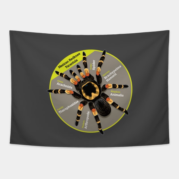 Tarantula Tapestry by Rosado