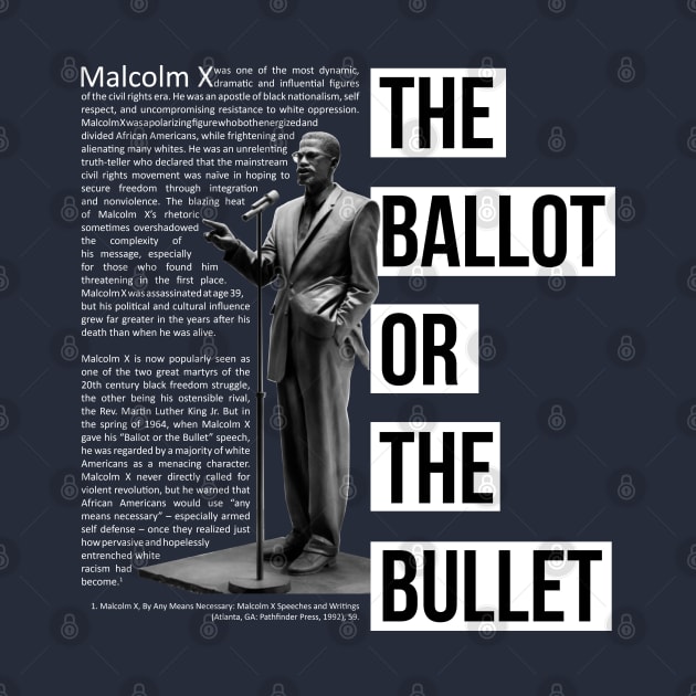 The Ballot or The Bullet by ZUNAIRA